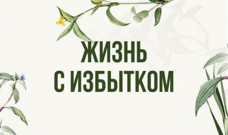 23 апреля приглашаем на семинар "Жизнь с избытком"